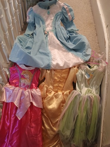Disney princess dress - disney,