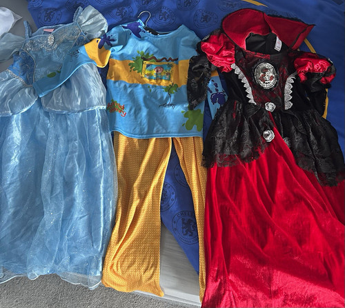 Fancy dress bundle inc - fancy,