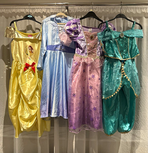 Disney princess costumes