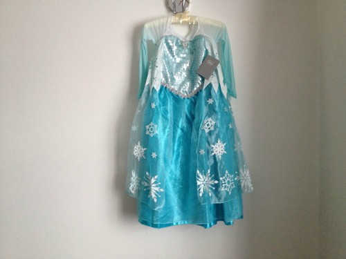 Disney store frozen princess - store,