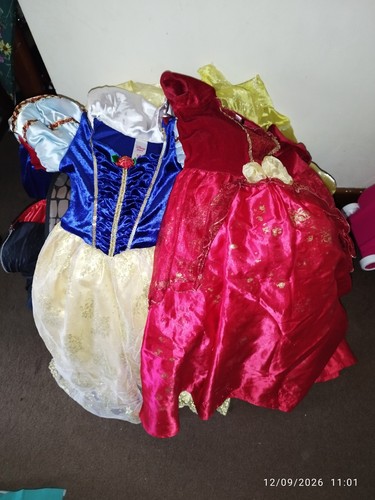Disney princess dress job - up,,